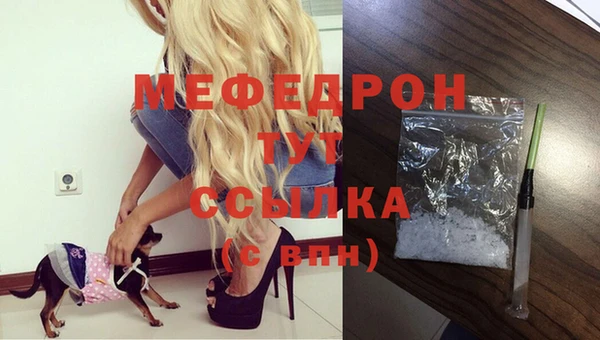 гашик Арсеньев