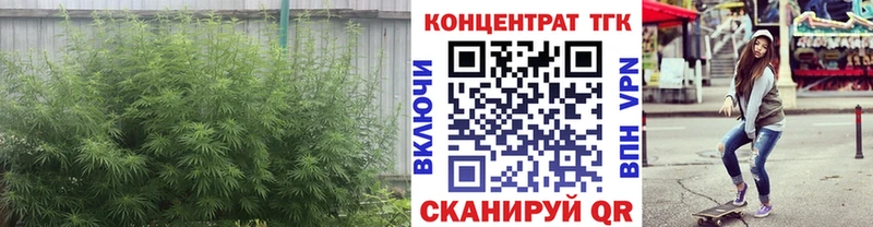 kraken как зайти  даркнет сайт  Краснослободск  Дистиллят ТГК THC oil 